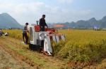 贵州省水稻全程机械化示范基地建设项目取得可喜成绩 - 农业厅