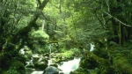 爽爽之约！贵州16个县市入选国家重点生态功能区 - 林业厅