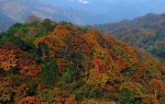 爽爽之约！贵州16个县市入选国家重点生态功能区 - 林业厅