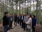 省人大农业与农村委员会到黔东南州开展《贵州省林木种苗管理条例》修订工作调研 - 林业厅