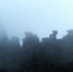 图为云雾中的铜仁梵净山。　杨云　摄 - 贵州新闻
