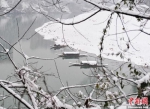 资料图：贵州铜仁梵净山雪景——疑是满园春色到。中新社发 滕树勇 摄 - 贵州新闻