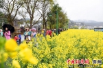 游客在绿道上漫步赏花 陈金 摄 - 贵州新闻