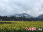 贵州省贵定县第十一届“金海雪山”旅游文化节开幕 - 贵州新闻