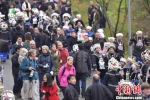 报京“三月三”讨葱定情，吸引上万名海内外游客到访。　李安生 摄 - 贵州新闻