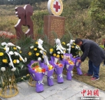 贵州省第10例器官捐献者吴学宇的父亲吴维刚在贵州省首个人体器官捐献纪念广场献花。　周娴 摄 - 贵州新闻
