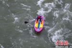 图为一名选手在激流皮划艇白水追逐赛中经过水流湍急的赛段。　中新社记者 贺俊怡 摄 - 贵州新闻
