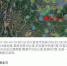 图为贵州地震信息服务公众号截图。　张伟　摄 - 贵州新闻