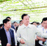 5月11日,省委书记、省人大常委会主任陈敏尔率队到盘县沙淤高山花卉示范园区观摩。记者 邓刚 摄 - 贵州新闻