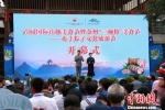 　　首届国际山地美食节——贞丰粽子文化旅游节29日在贞丰县古城举行。　瞿宏伦 摄 - 贵州新闻