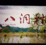 贵州省环境监察局组织观看十九大献礼影片《十八洞村》 - 环保局厅