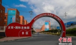 探访中国西部山区的吉他“世界工厂” - 贵州新闻