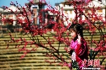 感知在春节：“归乡人”眼里的“故乡” - 贵州新闻