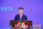 图为联合国世界旅游组织UNWTO高级官员崔辅根(Dr. Bo Kuen Choi)在论坛上致辞。　王雪峰 摄 - 贵州新闻