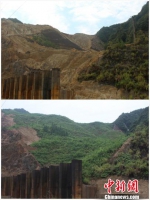 图为“原位基质改良+直接植被技术”下的德兴铜矿生态恢复效果(拼接图)。受访者供图 - 贵州新闻图片网