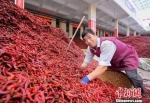 探访中国辣椒城：从海外收购辣椒再销往世界各地 - 贵州新闻