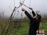 贵州黔西：“绿色产业”带来“生态红利” - 贵州新闻