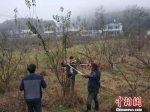贵州黔西：“绿色产业”带来“生态红利” - 贵州新闻