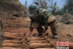 中国人民解放军南部战区陆军云南扫雷大队在雷场扫雷期间，一名战士将一枚搜排出来的炮弹放至临时存放点。　杨萌 摄 - 贵州新闻
