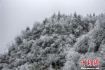 贵州一古镇变身“冰雪世界”引游客观赏 - 贵州新闻