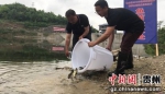 图为工作人员在向水库投放鱼苗。 - 贵州新闻