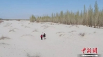 活人不能让沙子欺负！这对夫妻35年种80万棵树 - 贵阳新闻网