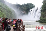 图为游客在黄果树瀑布前合影。　贺俊怡 摄 - 贵州新闻