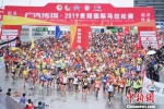 2019贵阳国际马拉松赛鸣枪开跑 - 贵州新闻