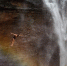 图为在贵州赤水举行的瀑布跳水精英赛。贺俊怡 摄 - 贵州新闻