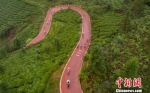 贵州普安自行车赛。贺俊怡 摄 - 贵州新闻