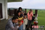 两岸媒体在湄潭永兴万亩茶海拍摄贵州茶。 - 贵州新闻