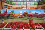 图为辣博会上展示的辣椒品种。　贺俊怡 摄 - 贵州新闻