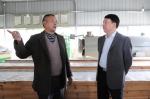 周承洲（右）了解军坡村茶叶种植示范基地生产情况4.JPG - 残疾人联合会