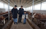 图为：陈健副理事长（左二）到华银养殖专业合作社查看黄牛养殖情况1.jpg - 残疾人联合会