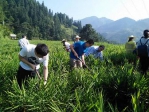 扶贫调研  情系山乡—审计署青年干部圆满完成对排调镇甲石村“根在基层 精准扶贫”调研 - 审计厅