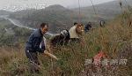 印江：砍树毁林村民 植树复绿补过 - 林业厅