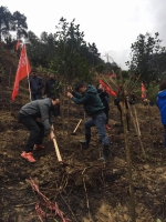 又是一年春光好，植树造林正当时--玉屏县国土资源局参加全县2月3日植树活动 - 国土资源厅